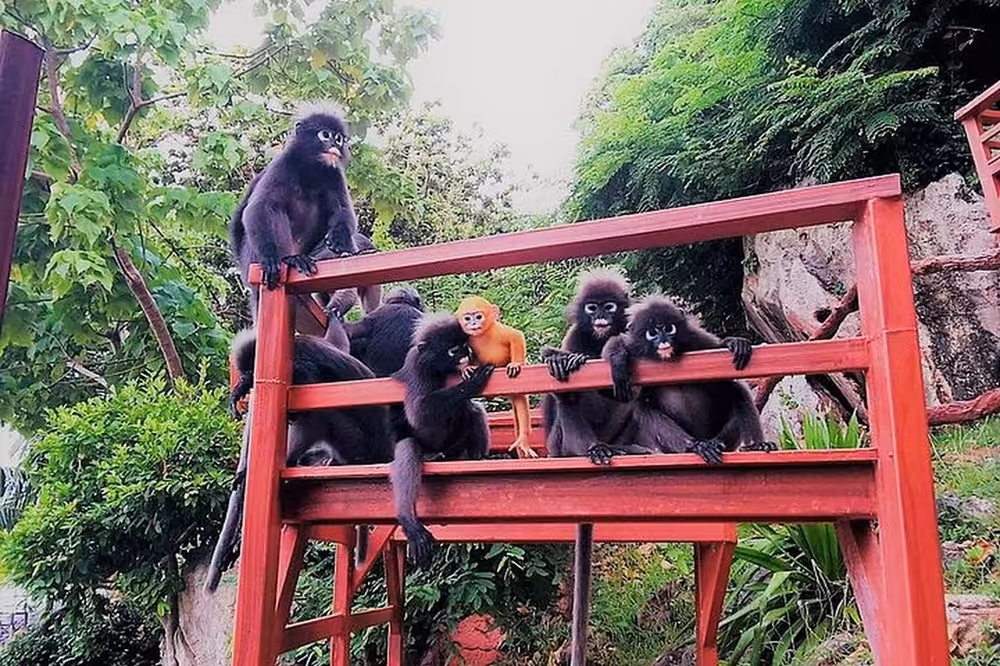 Angthong Marine Park by Bigboat from Samui - Image 14
