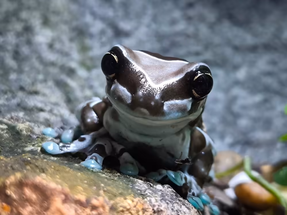 Aquaria Phuket: Underwater Adventure - Image 12