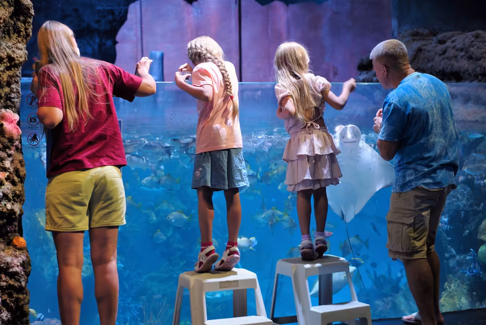 Aquaria Phuket: Underwater Adventure - Image 16