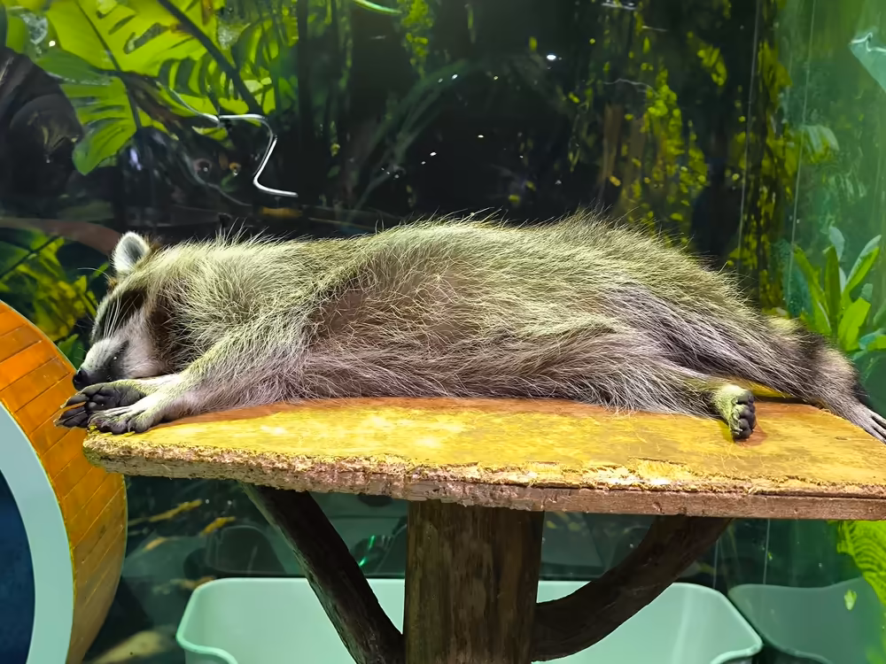 Aquaria Phuket: Underwater Adventure - Image 18