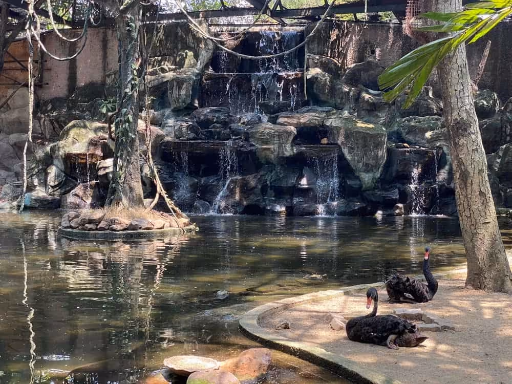 Bangkok Safari World & Marine Park Adventure! - Image 16