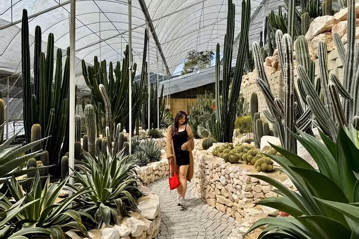 Cameron Highlands Day Tour: Tea Plantations & Floral Paradis - Image 2