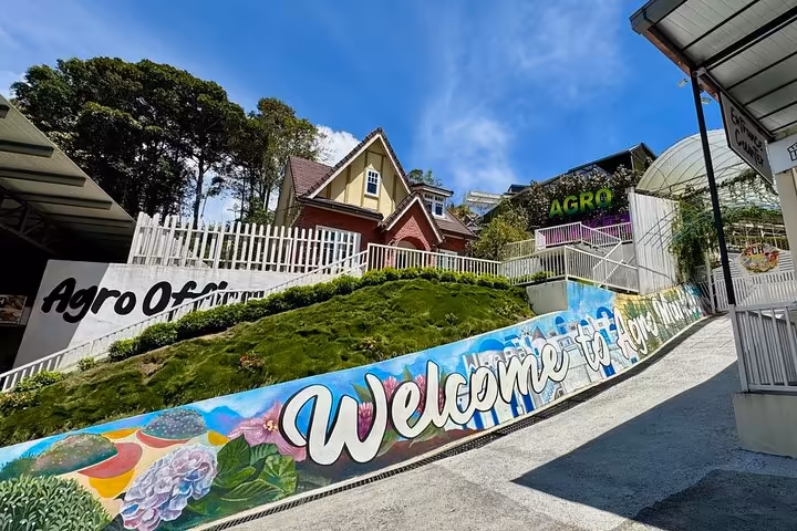 Cameron Highlands Day Tour: Tea Plantations & Floral Paradis - Image 3