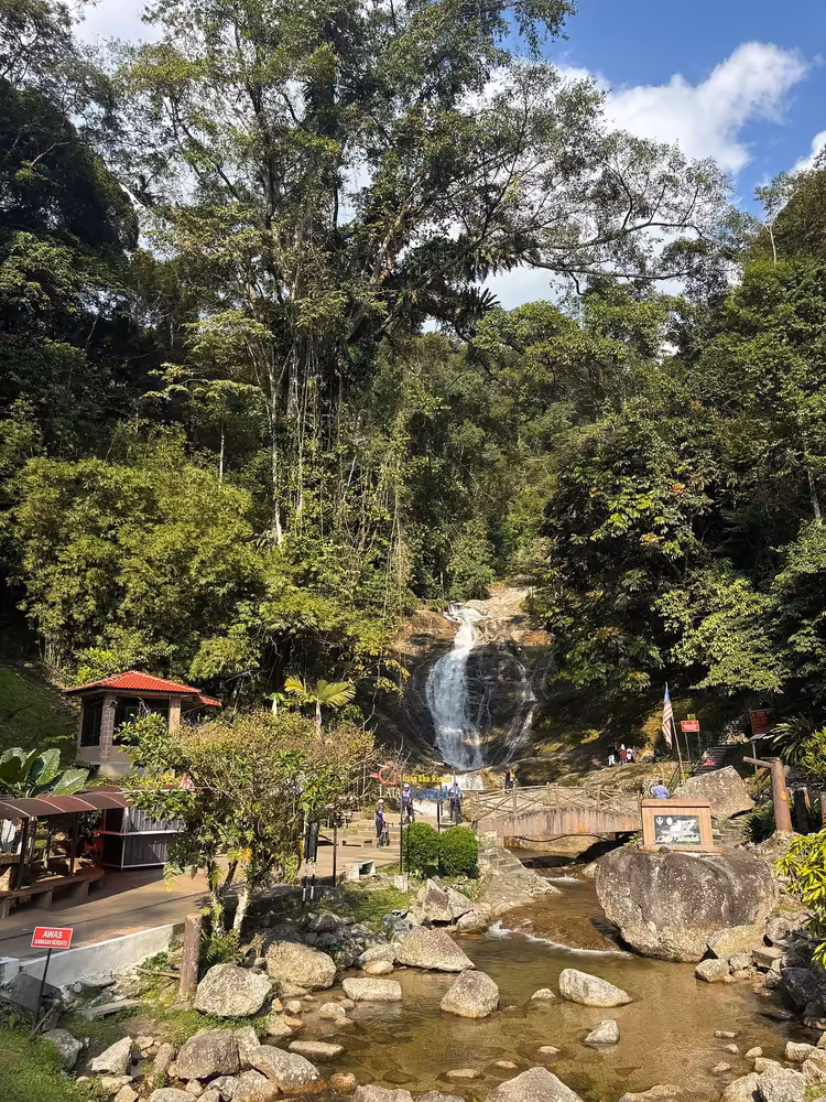 Cameron Highlands Day Tour: Tea Plantations & Floral Paradis - Image 5