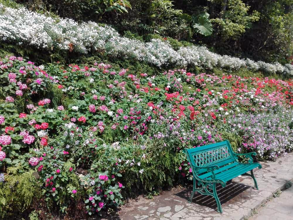 Chiang Mai: Doi Suthep & Bhubing Palace Half-Day - Image 7