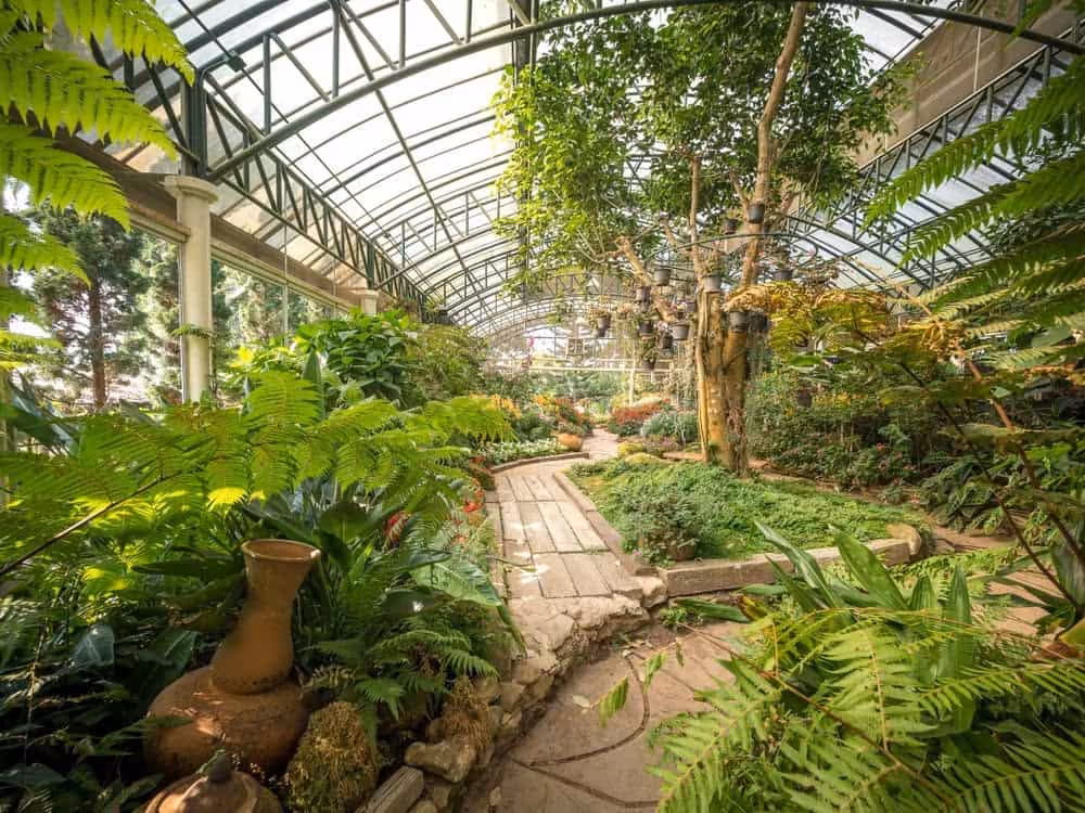 Chiang Mai: Doi Suthep & Bhubing Palace Half-Day - Image 8