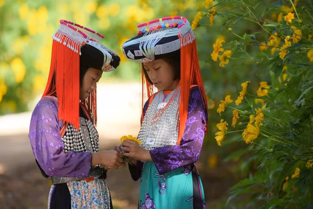 Doi Inthanon Day Trip: Thailand Highest Peak, Falls & Tribes - Image 8