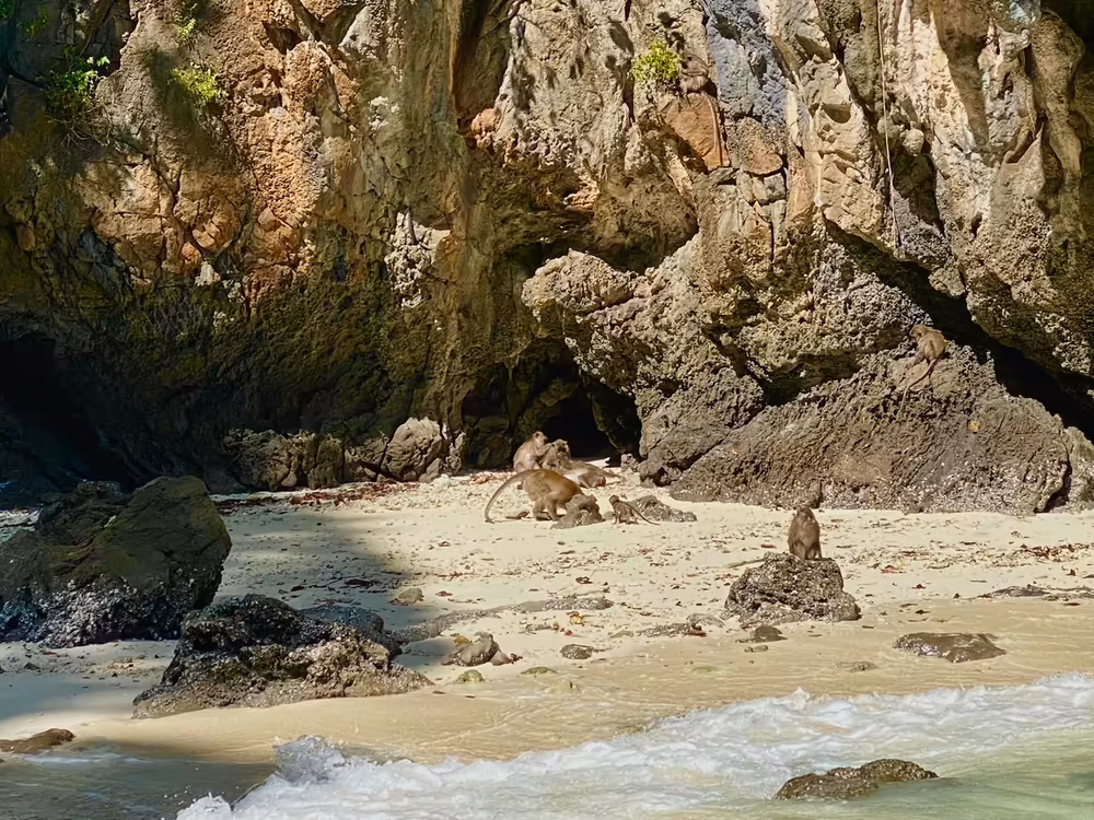 Krabi: Early Bird Phi Phi & 4 Islands Sunrise Tour - Image 21