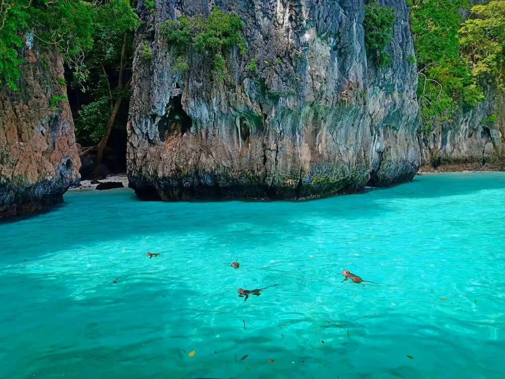 Krabi: Early Bird Phi Phi & 4 Islands Sunrise Tour - Image 7