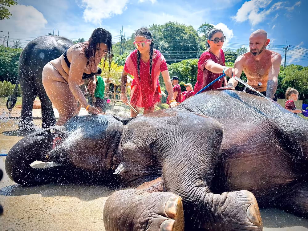 Half Day Elephant Care at Kerchor Elephant - Image 3