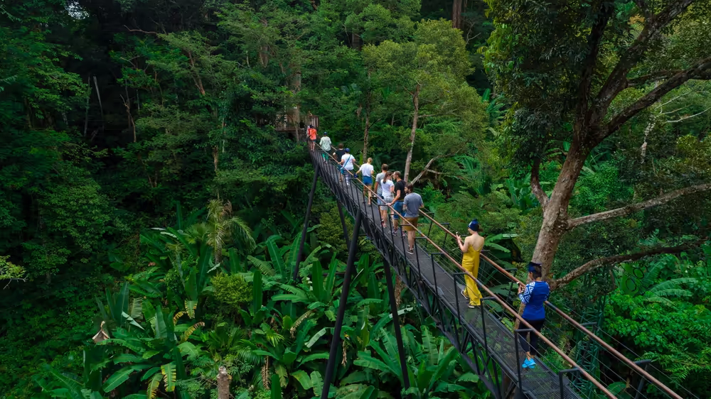 Phuket Zipline: Hanuman World Ultimate Thrill! - Image 2