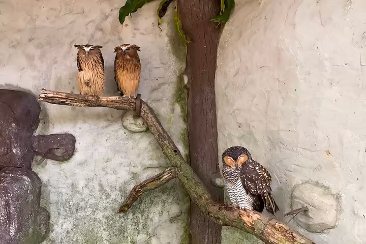 Historical Malacca Day Tour: A Journey Through Time - Image 2