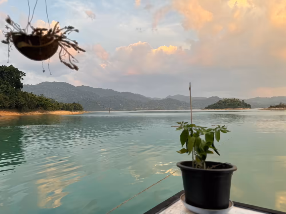 Khao Sok & Cheow Lan Lake 2D1N Adventure - Image 6