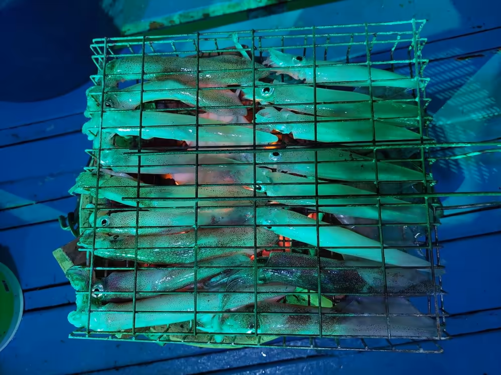 Koh Samui: Ultimate Sea Fishing Trip - Image 9