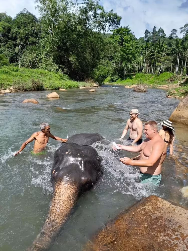 Krabi Bamboo Rafting: Epic Jungle Adventure! - Image 2