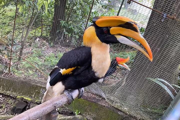 Kuala Lumpur Gardens & Parks Half-Day Tour - Image 3