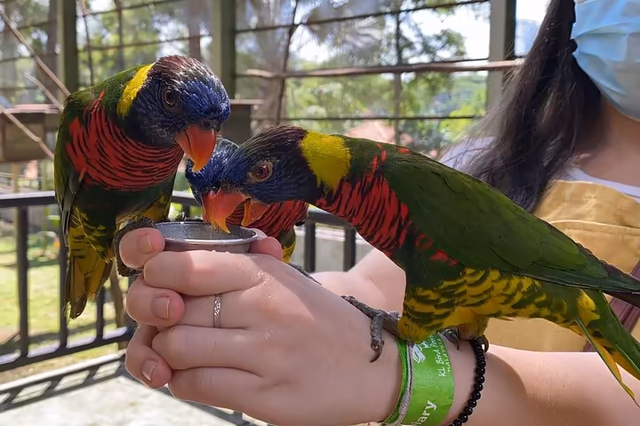 Kuala Lumpur Gardens & Parks Half-Day Tour - Image 4