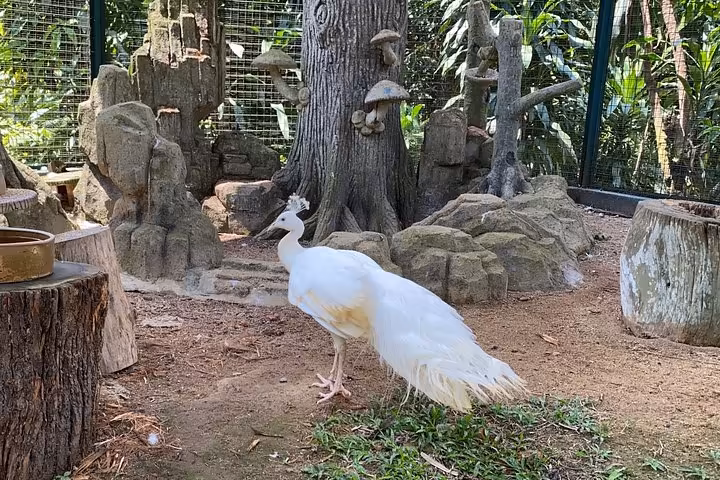 Kuala Lumpur Gardens & Parks Half-Day Tour