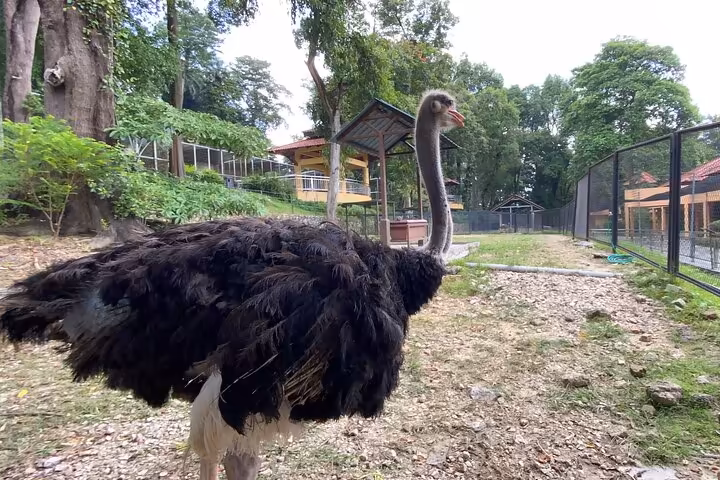 Kuala Lumpur Gardens & Parks Half-Day Tour - Image 6