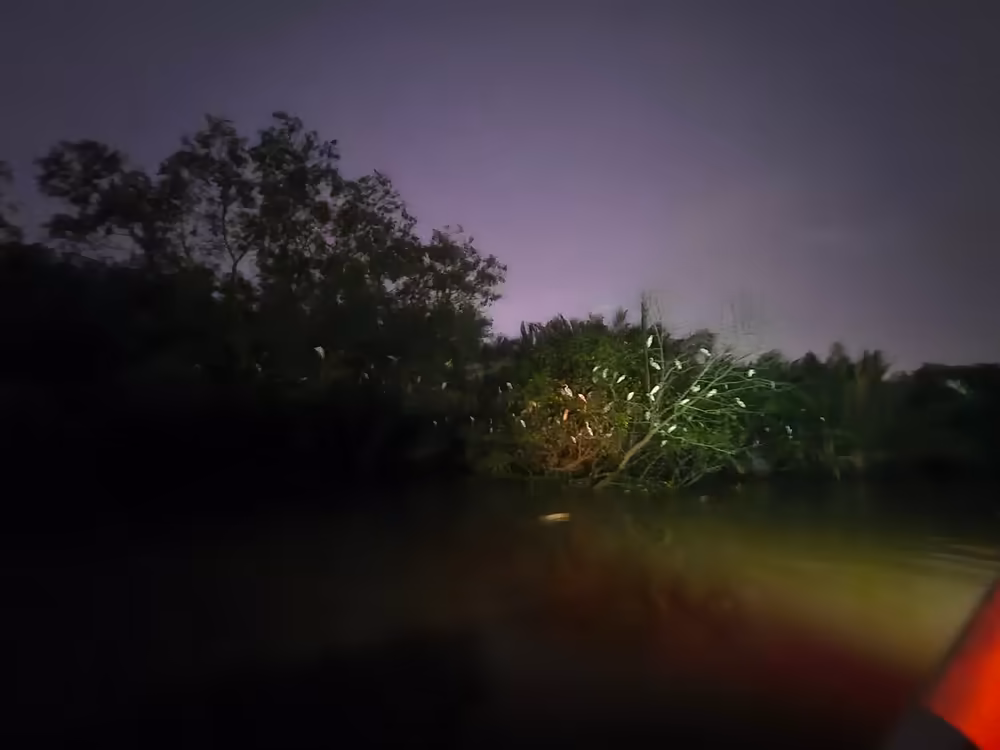 Kuala Selangor Fireflies & Blue Tears Enchanting Tour - Image 15