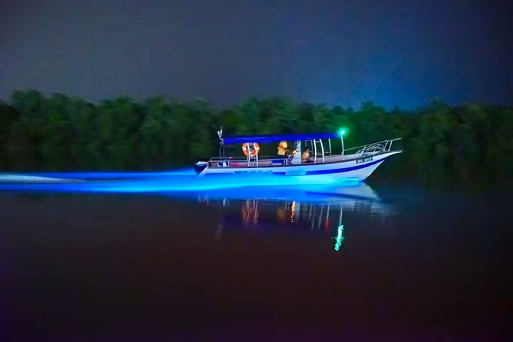 Kuala Selangor Fireflies & Blue Tears Enchanting Tour - Image 3