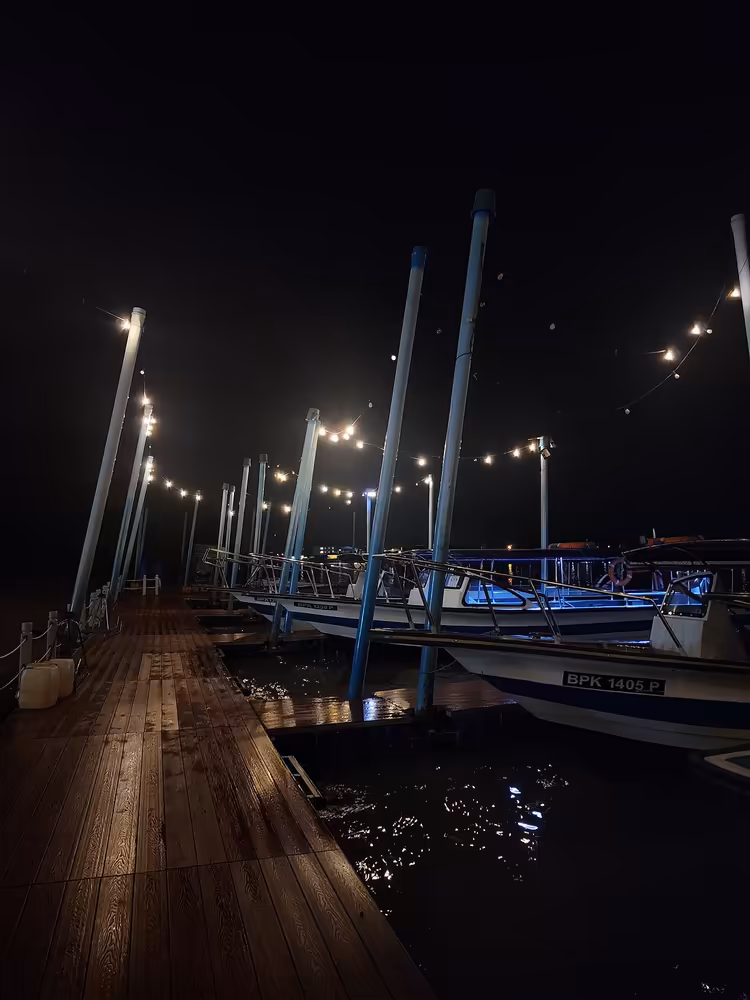 Kuala Selangor Fireflies & Blue Tears Enchanting Tour - Image 6