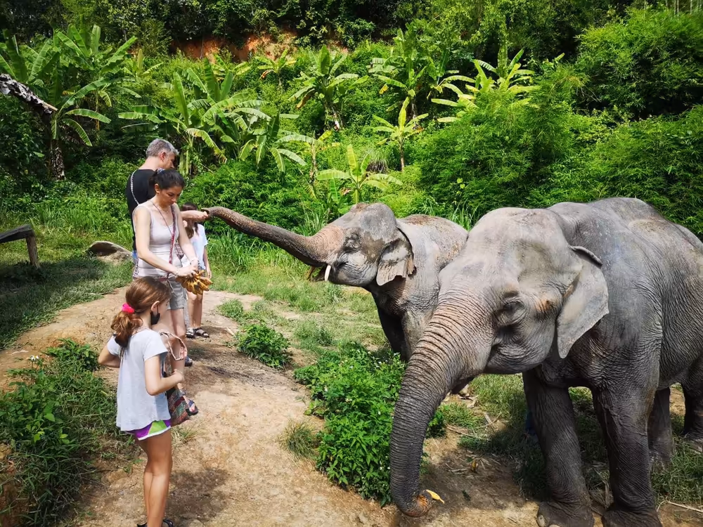 Mae Wang Jungle Trek & Bamboo Rafting Adventure - Image 2