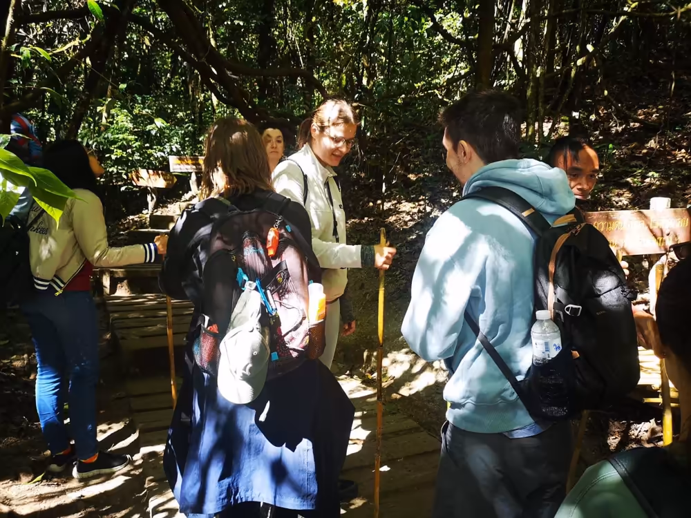 Mae Wang Jungle Trek & Bamboo Rafting Adventure - Image 4