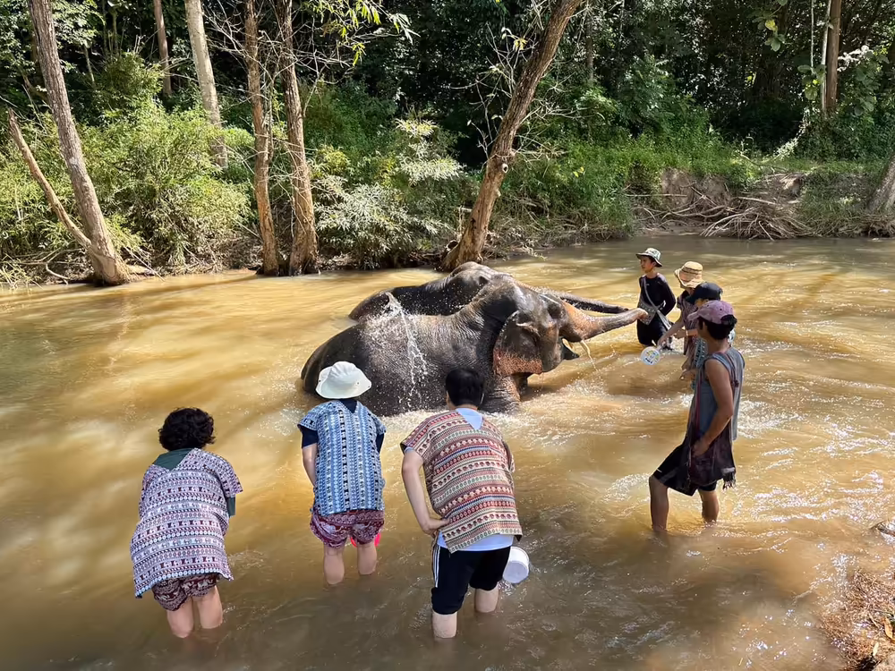 Mae Wang Jungle Trek & Bamboo Rafting Adventure - Image 7