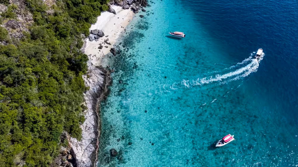 Nemo Island Snorkeling Experience by Speedboat - Image 4