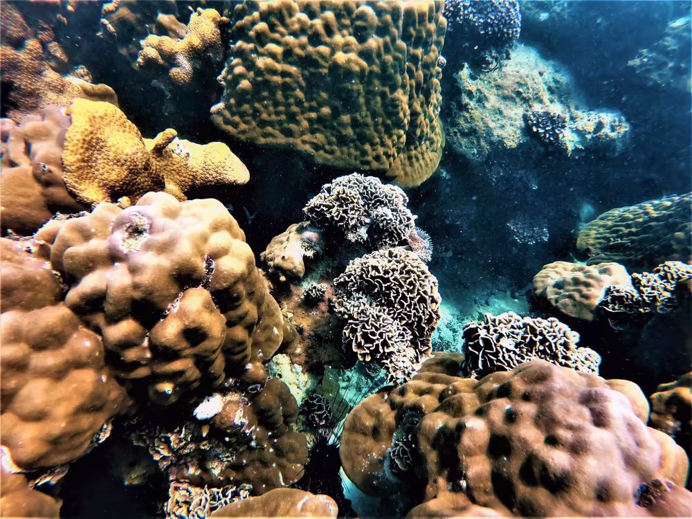 Ocean Yachting Pattaya - Image 36