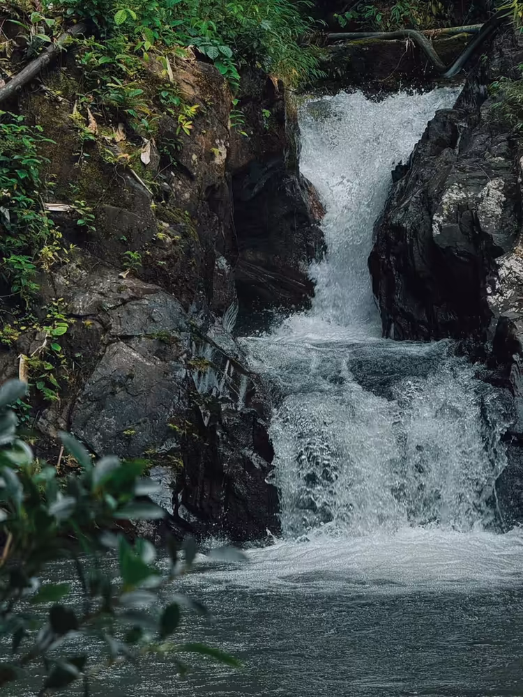 Phuket Bamboo Rafting Adventure - Image 11