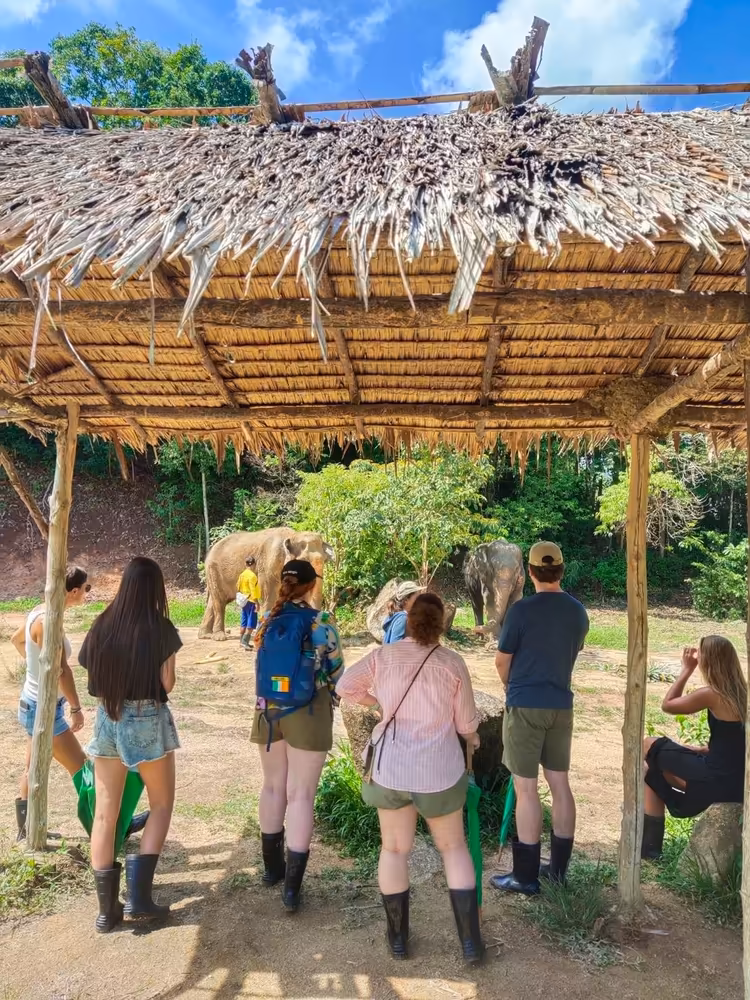 Phuket: Big Buddha & Mini Elephant Sanctuary Tour