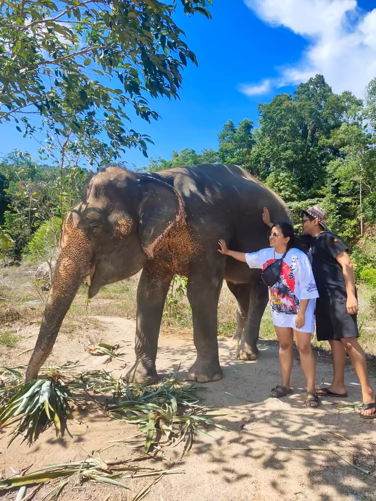 Phuket: Big Buddha & Mini Elephant Sanctuary Tour - Image 2