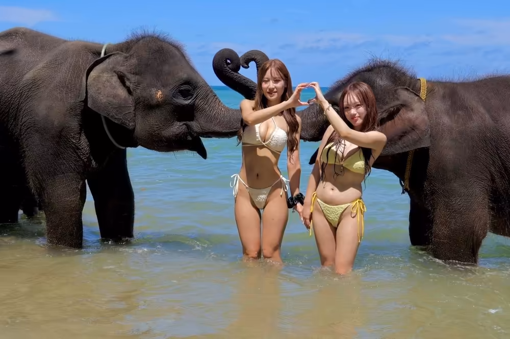 Phuket Elephant Swims in Sea Tour - Image 3