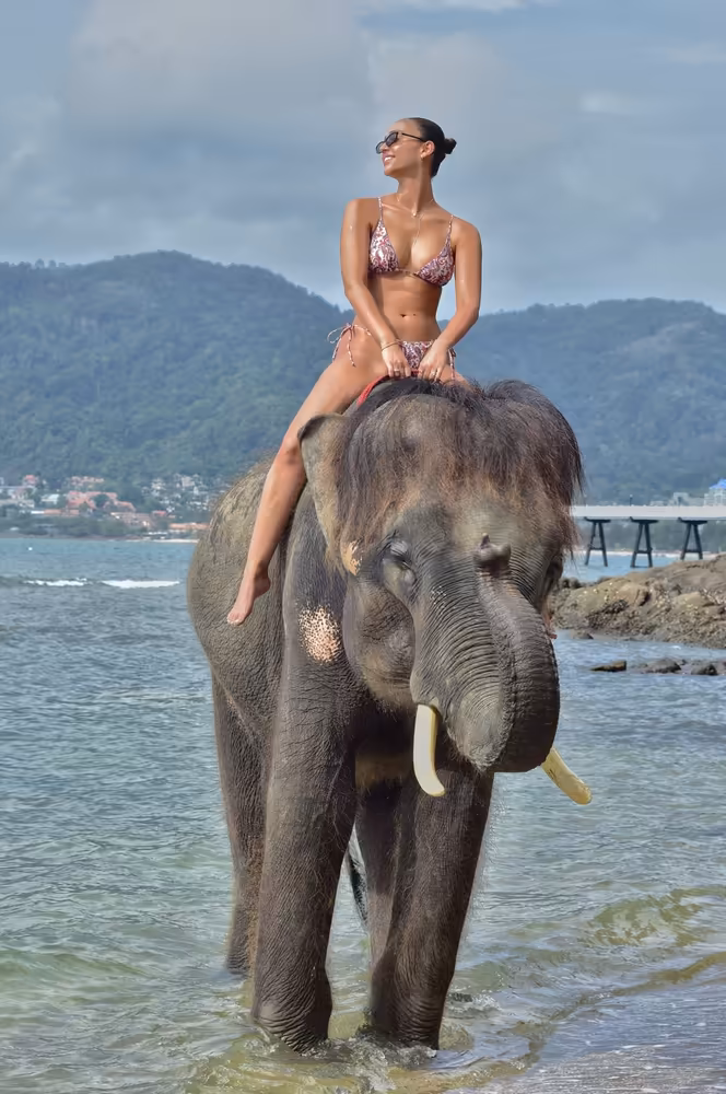 Phuket Elephant Swims in Sea Tour - Image 4