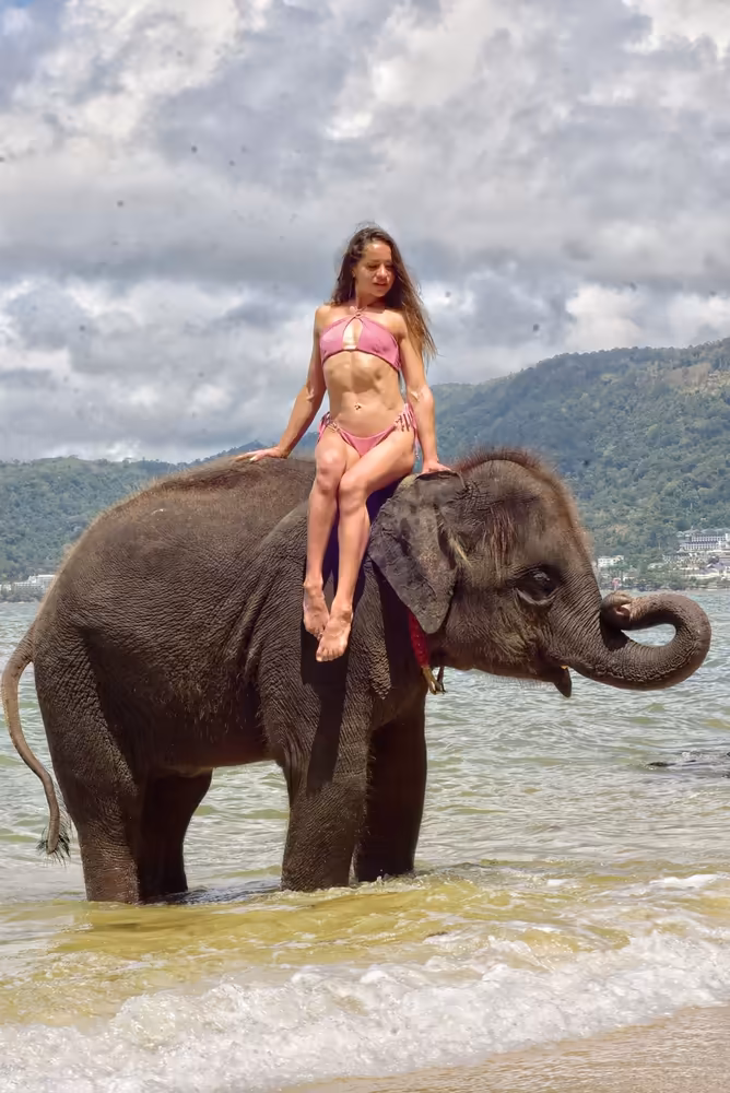 Phuket Elephant Swims in Sea Tour - Image 6