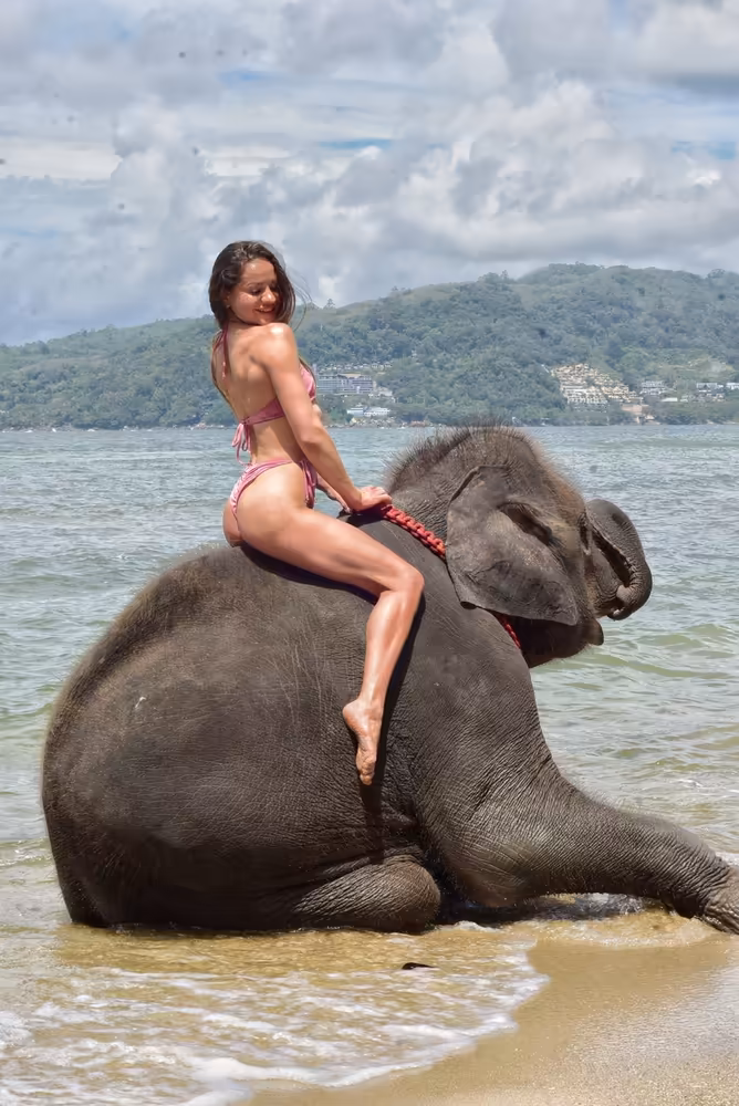 Phuket Elephant Swims in Sea Tour - Image 7