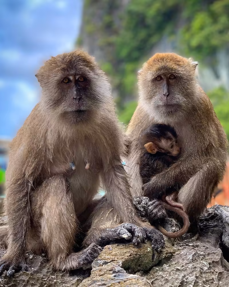 Phuket: Phi Phi & Bamboo Islands Speedboat Day Trip - Image 7