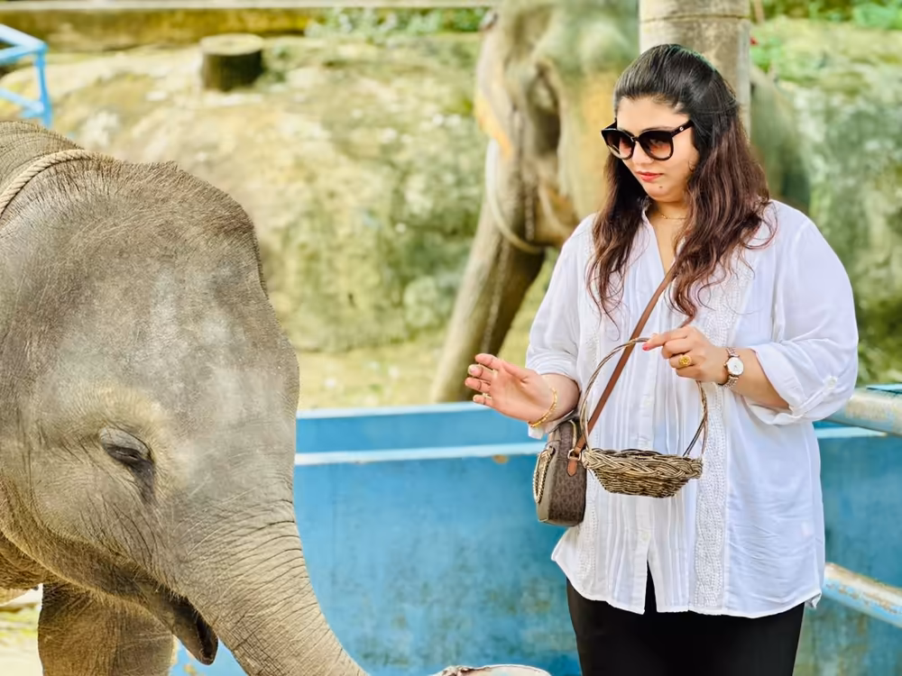 Phuket Tiger Kingdom & City Tour - Image 11