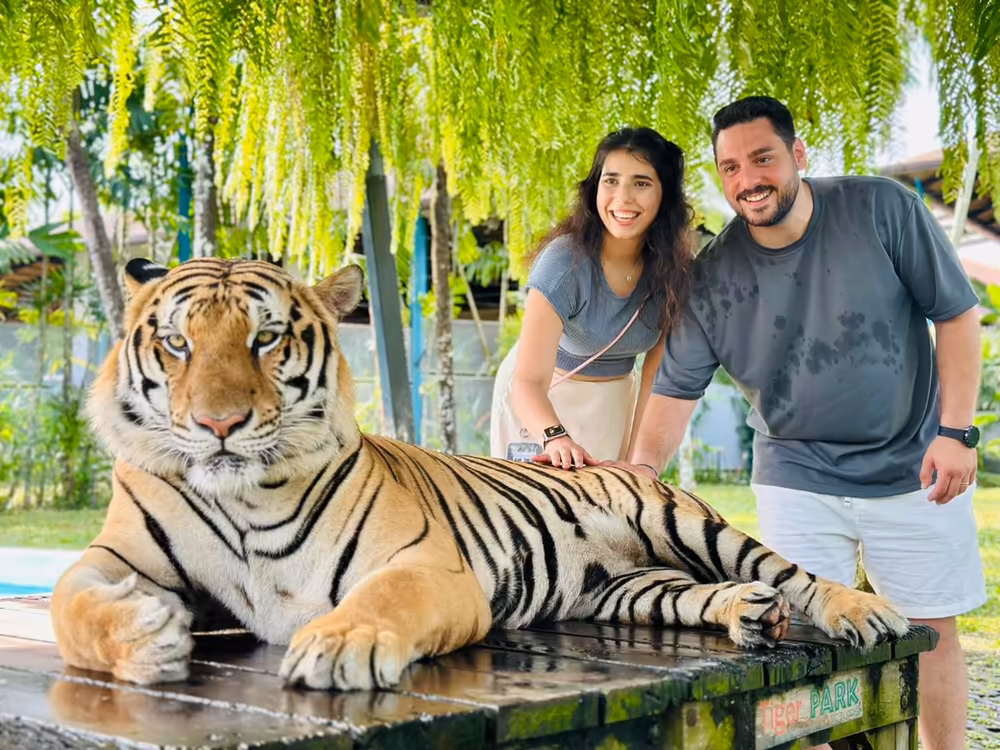Phuket Tiger Kingdom & City Tour - Image 12