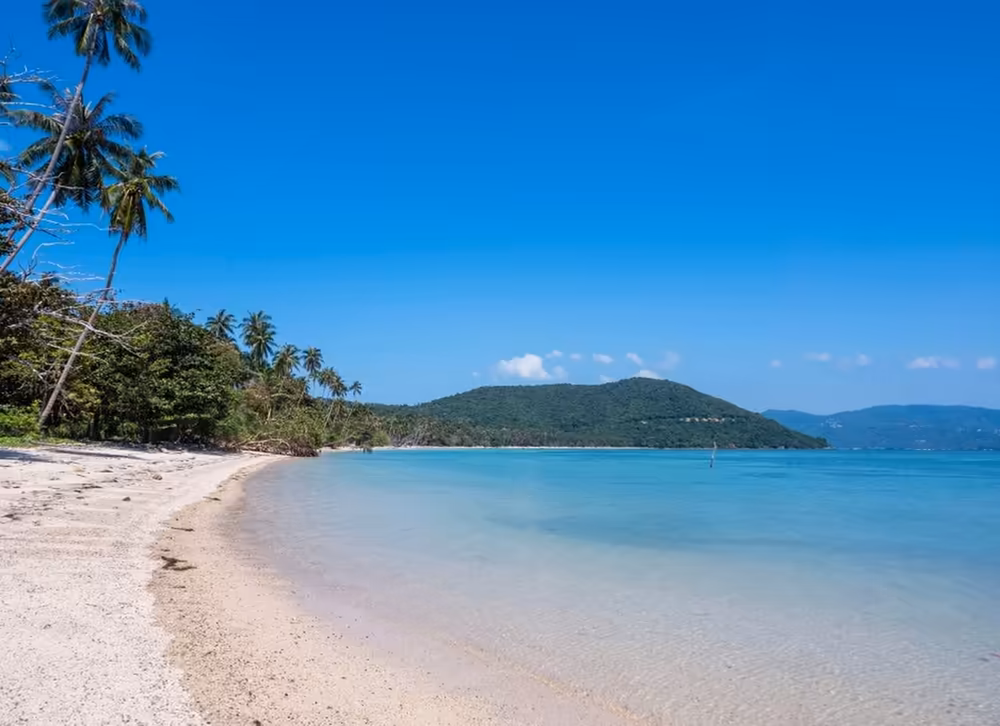 Private Speedboat to Koh Madsum & Koh Tan - Image 6