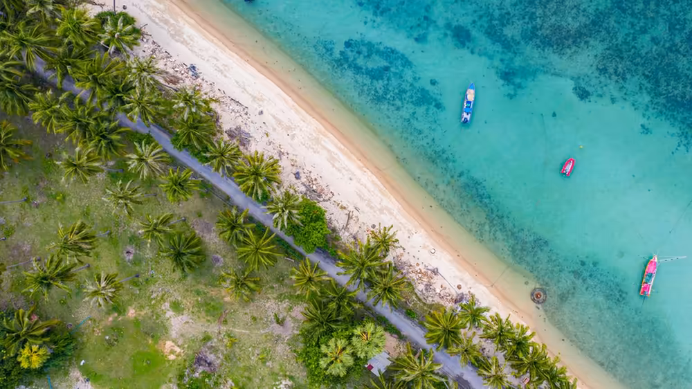 Private Speedboat Tour to Koh Madsum, Koh Tan & Koh Rap - Image 16