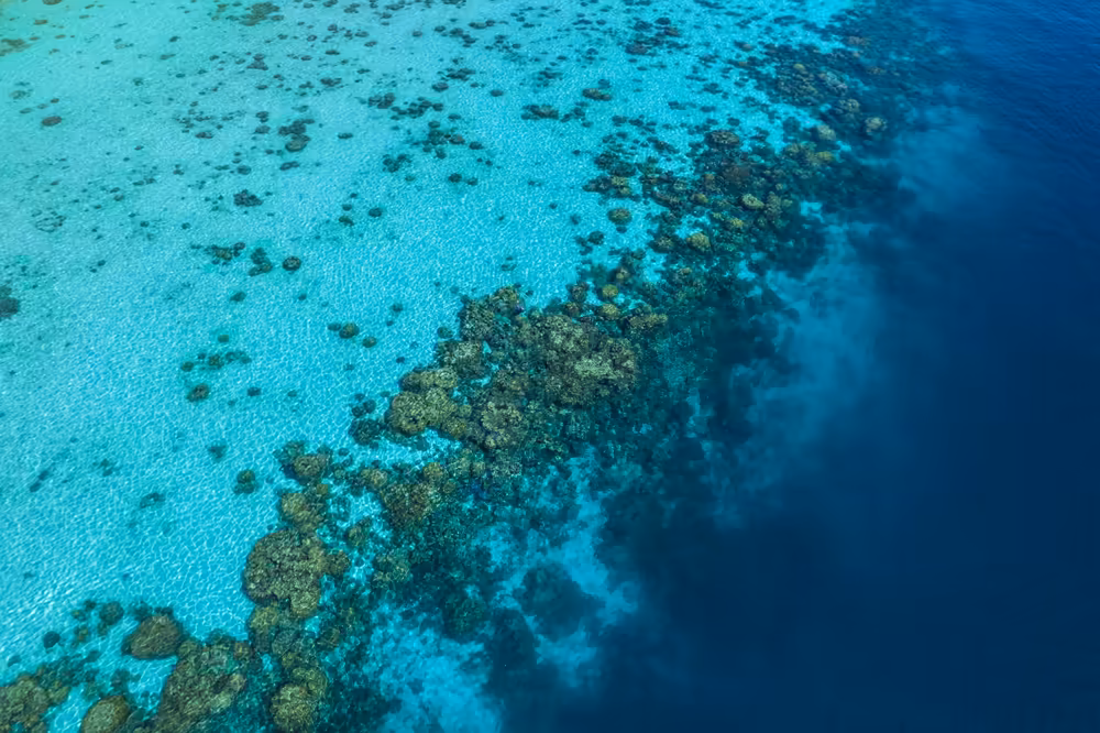 Surin Island by Sawanu Speed Catamaran - Image 16